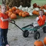 Roberts Family Farm photo