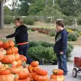 Roberts Family Farm photo