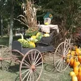 Roberts Family Farm photo