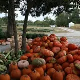 Roberts Family Farm photo