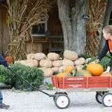 Roberts Family Farm photo