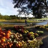 Roberts Family Farm photo