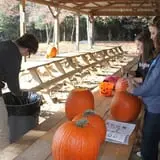Roberts Family Farm photo