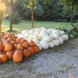 Roberts Family Farm photo