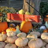Roberts Family Farm photo