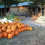 Roberts Family Farm photo