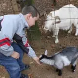 Roberts Family Farm photo