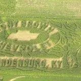 Roberts Family Farm photo