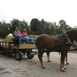 Roberts Family Farm photo