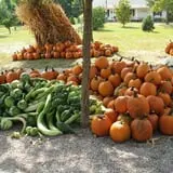 Roberts Family Farm photo