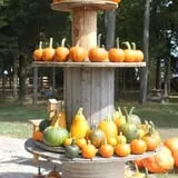 Roberts Family Farm photo