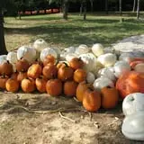 Roberts Family Farm photo