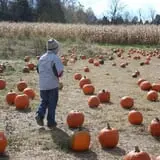 Roberts Family Farm photo
