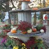 Roberts Family Farm photo