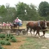 Roberts Family Farm photo