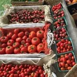 Olde Haven Farm photo