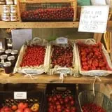 Olde Haven Farm photo