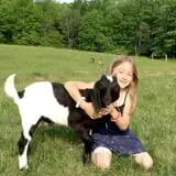 Olde Haven Farm photo