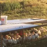 Olde Haven Farm photo