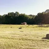 Olde Haven Farm photo