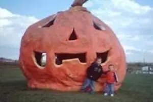 Solly Farm Pumpkin Patch