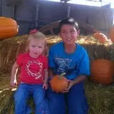 Country Apple Orchard photo
