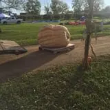 Country Apple Orchard photo