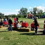 Country Apple Orchard photo