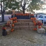 Country Apple Orchard photo