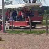 Country Apple Orchard photo