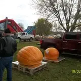 Country Apple Orchard photo
