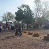 Country Apple Orchard photo