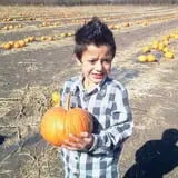 Country Apple Orchard photo