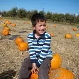 Country Apple Orchard photo