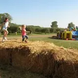 Country Apple Orchard photo