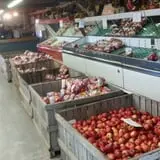 Country Apple Orchard photo