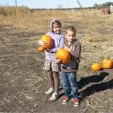 Country Apple Orchard photo
