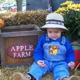 Country Apple Orchard photo