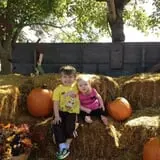Country Apple Orchard photo