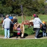 Country Apple Orchard photo