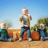Country Apple Orchard photo