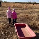 Country Apple Orchard photo