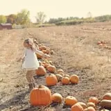 Country Apple Orchard photo