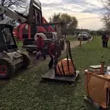 Country Apple Orchard photo