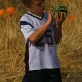 Country Apple Orchard photo