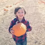 Country Apple Orchard photo