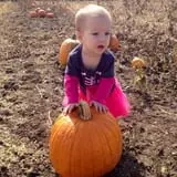 Country Apple Orchard photo