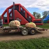 Country Apple Orchard photo