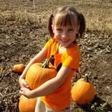 Country Apple Orchard photo