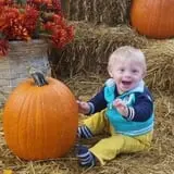 Country Apple Orchard photo